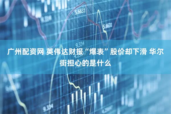 广州配资网 英伟达财报“爆表”股价却下滑 华尔街担心的是什么