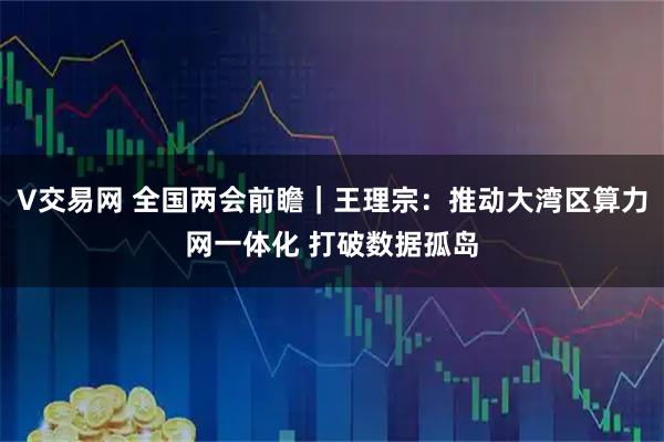 V交易网 全国两会前瞻｜王理宗：推动大湾区算力网一体化 打破数据孤岛