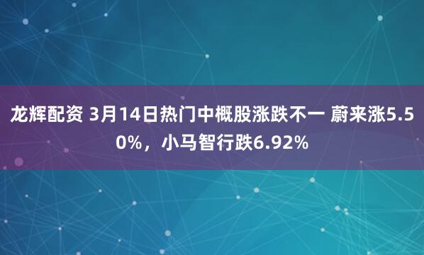 龙辉配资 3月14日热门中概股涨跌不一 蔚来涨5.50%，小马智行跌6.92%