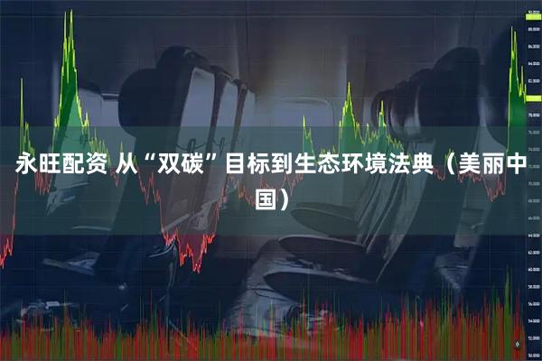 永旺配资 从“双碳”目标到生态环境法典(美丽中国)