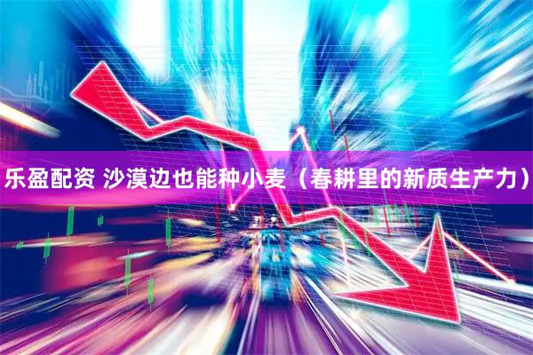 乐盈配资 沙漠边也能种小麦（春耕里的新质生产力）