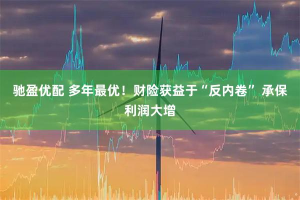 驰盈优配 多年最优！财险获益于“反内卷” 承保利润大增
