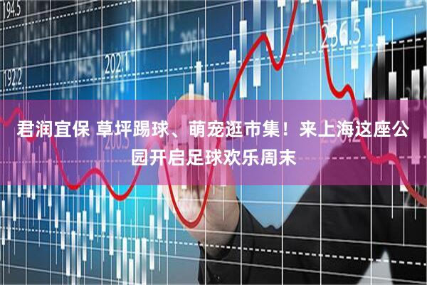 君润宜保 草坪踢球、萌宠逛市集！来上海这座公园开启足球欢乐周末