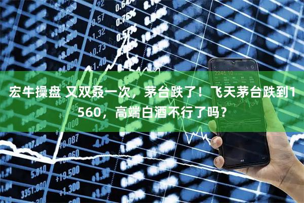 宏牛操盘 又双叒一次，茅台跌了！飞天茅台跌到1560，高端白酒不行了吗？