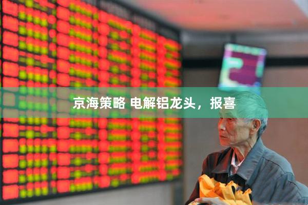 京海策略 电解铝龙头，报喜