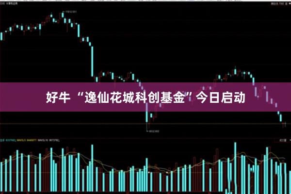 好牛 “逸仙花城科创基金”今日启动