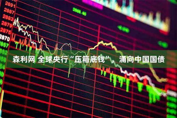 森利网 全球央行“压箱底钱”，涌向中国国债