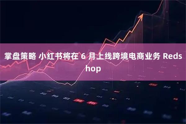 掌盘策略 小红书将在 6 月上线跨境电商业务 Redshop