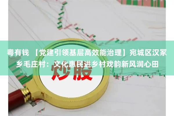 粤有钱 【党建引领基层高效能治理】宛城区汉冢乡毛庄村：文化惠民进乡村戏韵新风润心田