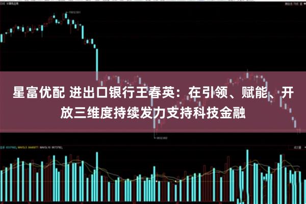 星富优配 进出口银行王春英：在引领、赋能、开放三维度持续发力支持科技金融