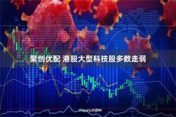 聚创优配 港股大型科技股多数走弱