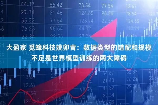 大盈家 觅蜂科技姚卯青：数据类型的错配和规模不足是世界模型训练的两大障碍
